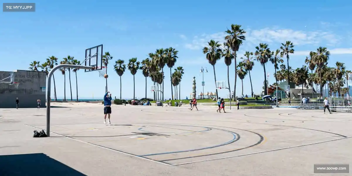 行业领先的理由